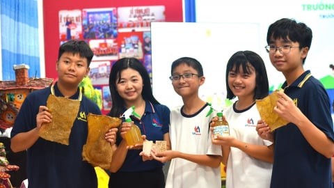 TRƯỜNG PHỔ THÔNG VIỆT MỸ: HÌNH MẪU 'TRƯỜNG HỌC SINH THÁI' XANH VÀ BỀN VỮNG